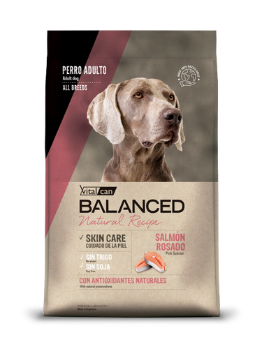 VitalCan Balanced Salmon 15 kg